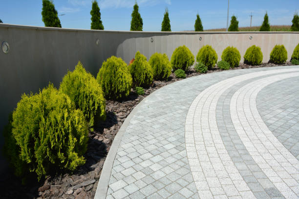 Best Driveway Paver Repair  in Cheat Lake, WV